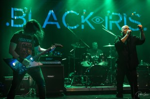 Photo 10102025-Black Iris-11.jpg