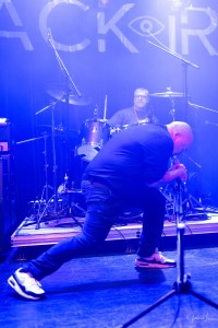 Photo 10102025-Black Iris-8.jpg