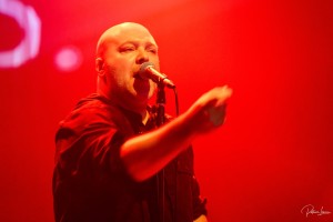 Photo 10102025-Black Iris-9.jpg